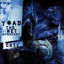 Coil von Toad the Wet Sprocket | CD | Zustand sehr gut