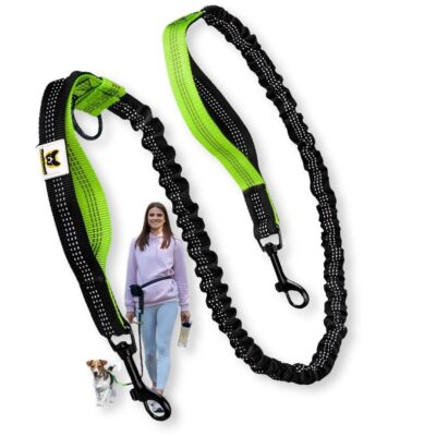Bungee Small Dog Leash Part for Hands Free Dog Leashes for