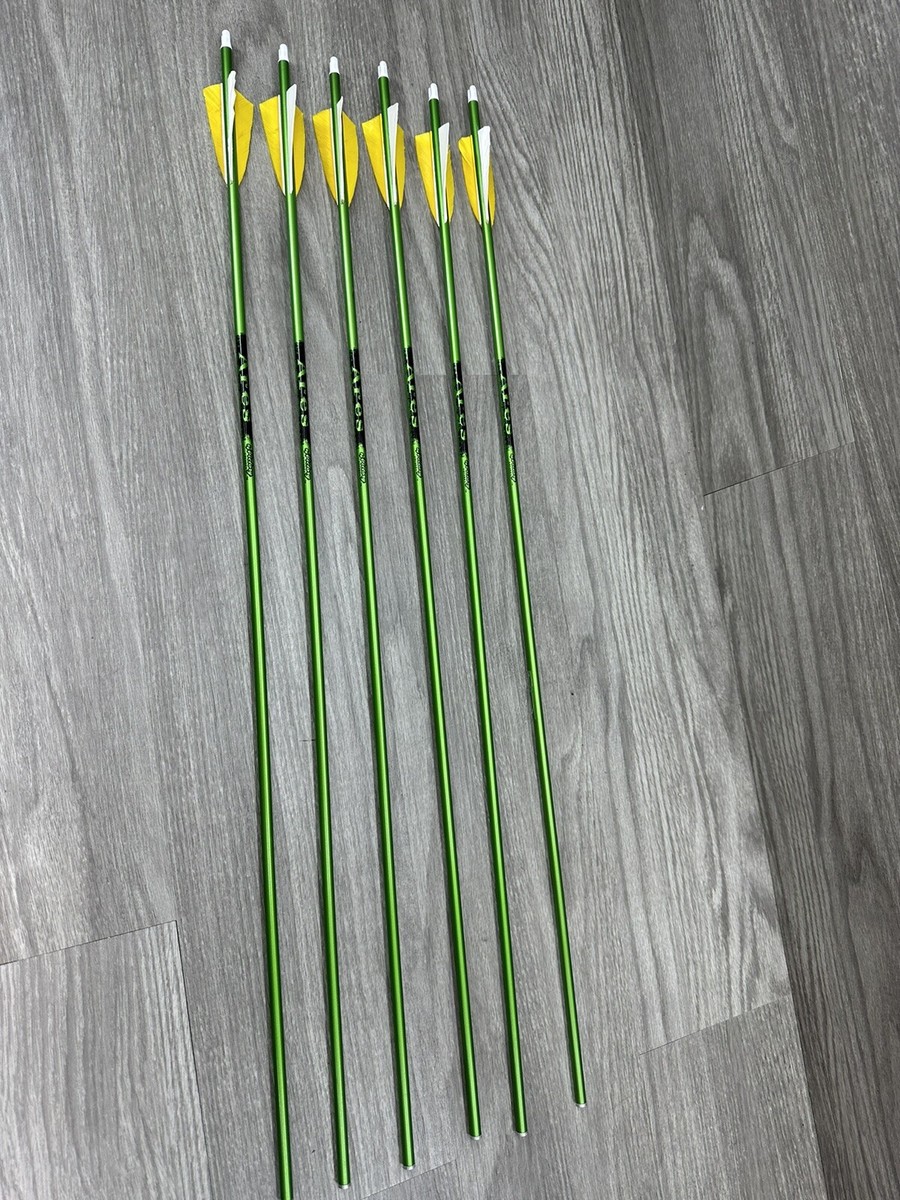 6 QTY Victory Archery 29
