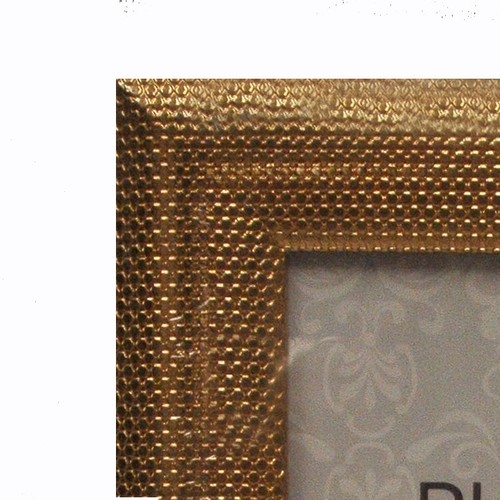 Innova Metal Snakeskin Picture Frames - Silver or Gold - Picture 2 of 5