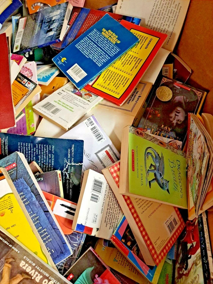 Lot of 30 RANDOM Children's Kids Chapter Books Instant Library Unsorted bundle Foto 3 de 3