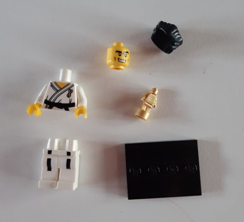 LEGO Collectable Minifigures Series 2 - 2010 – Karate Master - 8684 #14 - or'gnl - Picture 4 of 5