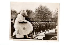 RARE BRITISH ARMY CEREMONY TO BRUNO THE BEAR ESSEN 1958 ORIG VTG Press Photo Y11