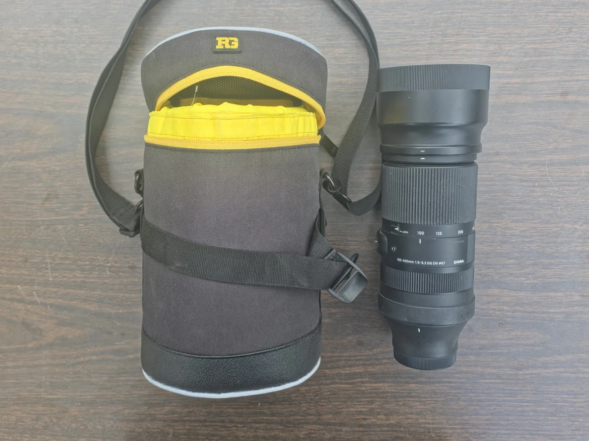 Sony E-mount Camera Lenses for Sony for sale | eBay