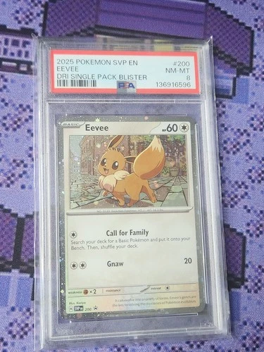 Pokemon TCG Eevee Scarlet Violet SVP 200 Black Star Promo Destined Rivals PSA 8