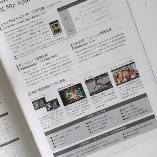 Panasonic LUMIX GH6 Digital Camera Japanese Catalog Published in February 2022 - Picture 6 of 9