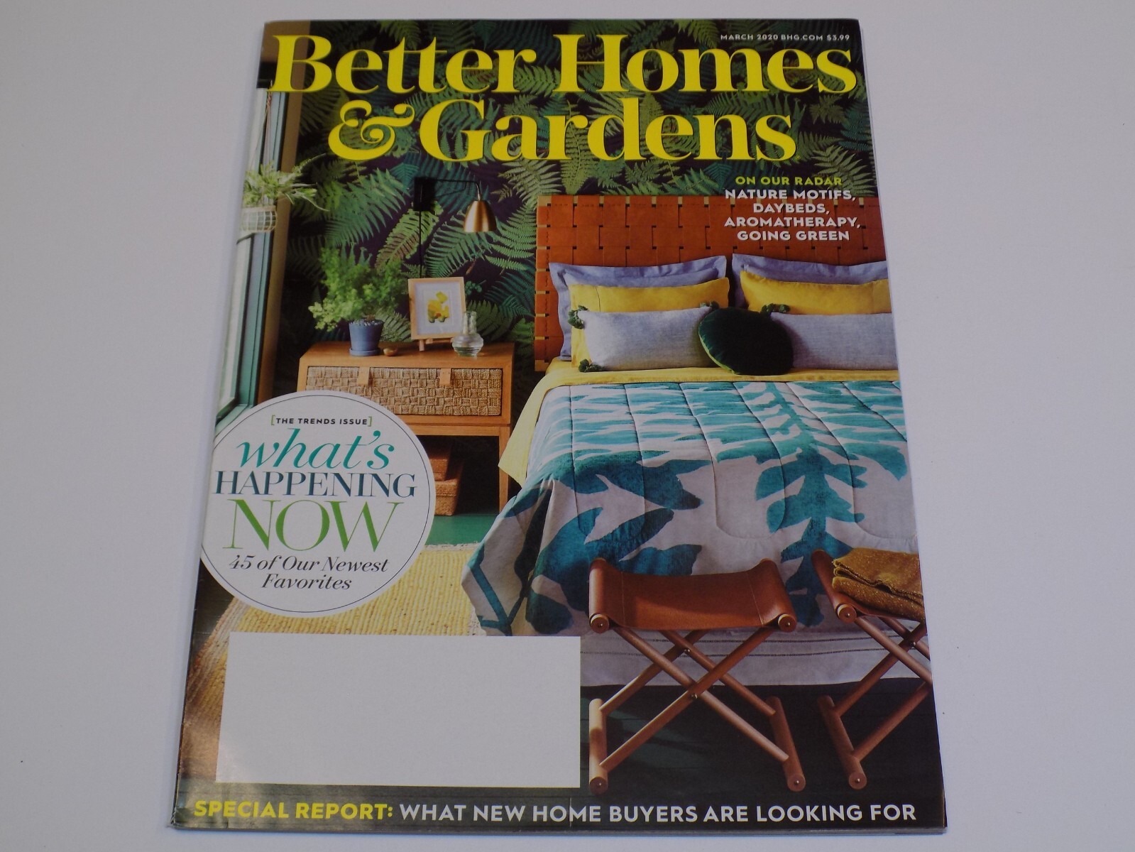 Better Homes Gardens March 2020 Issue Nature Daybeds Aromatherapy Trends