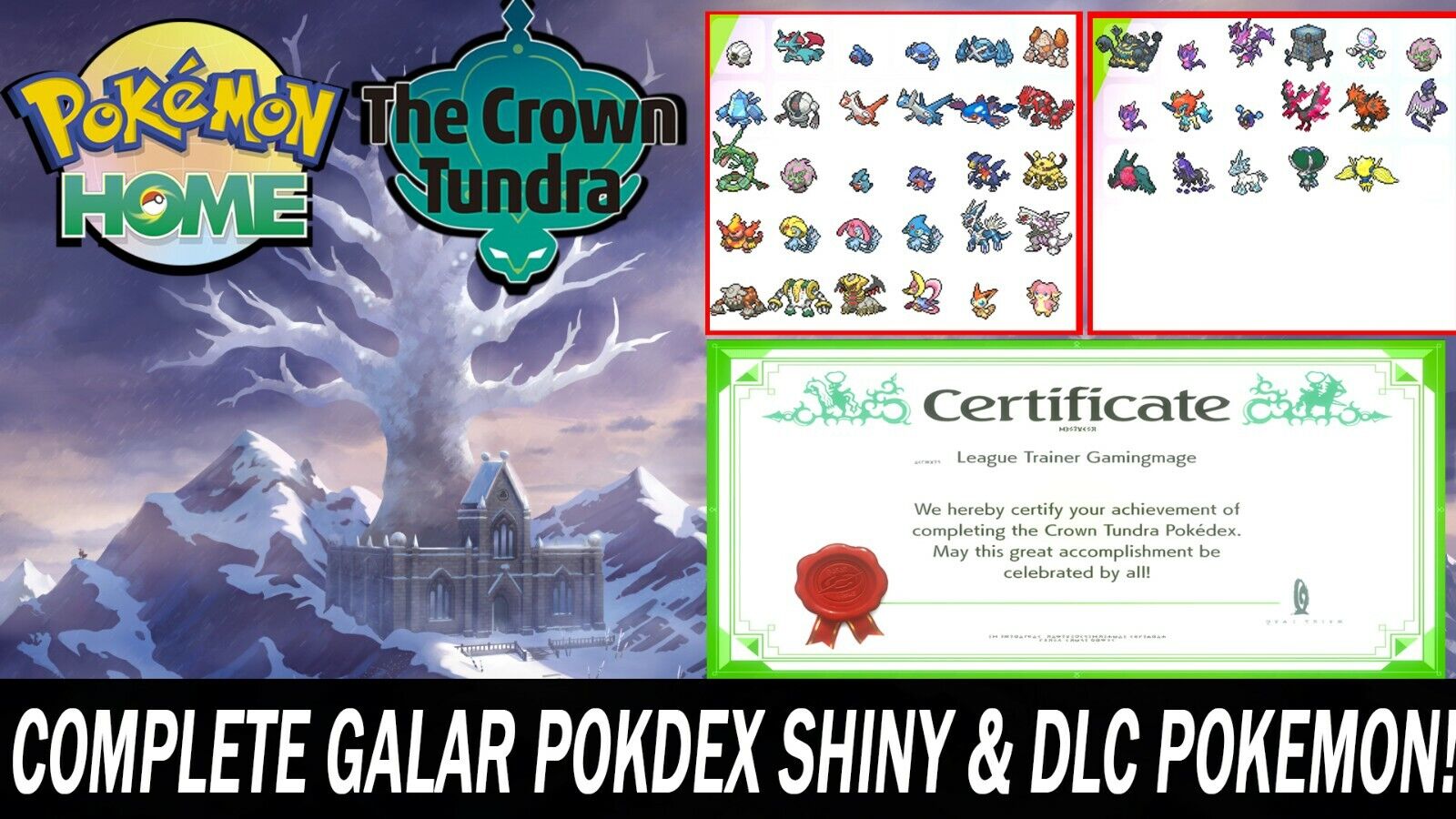 Pokemon Sword and Shield Completion Galar & Isle of Armor Pokedex Ultra  Shiny BR 