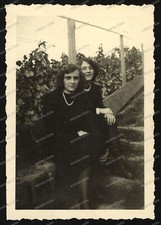 Photo-Stuttgart-North-vineyards-Wengert-vines-family-2