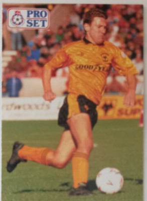 ROBERT DENNISON WOLVES AND NORTHERN IRELAND 1991-92 PRO SET CARD No 224