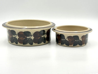 Arabia Finnland Ruija mittlere + kleine Schüssel Duo (Set 2-teilig) Vintage