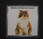 Clear Acrylic Placemats