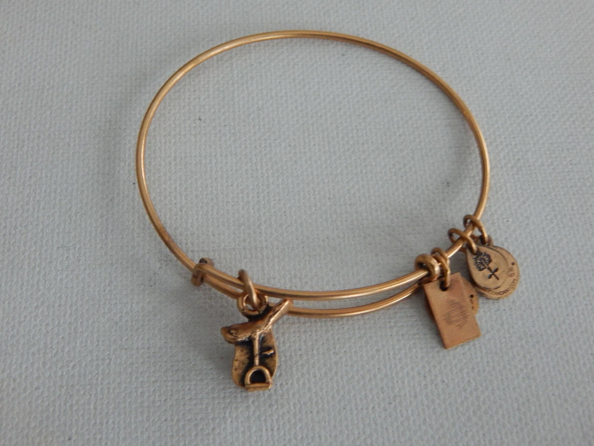Alex and Ani Gold Horse Riding Equestrian Saddle Charm Bracelet eBay