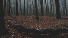 Landscape forest nature trees fall mist Custom Gaming Mat Desk