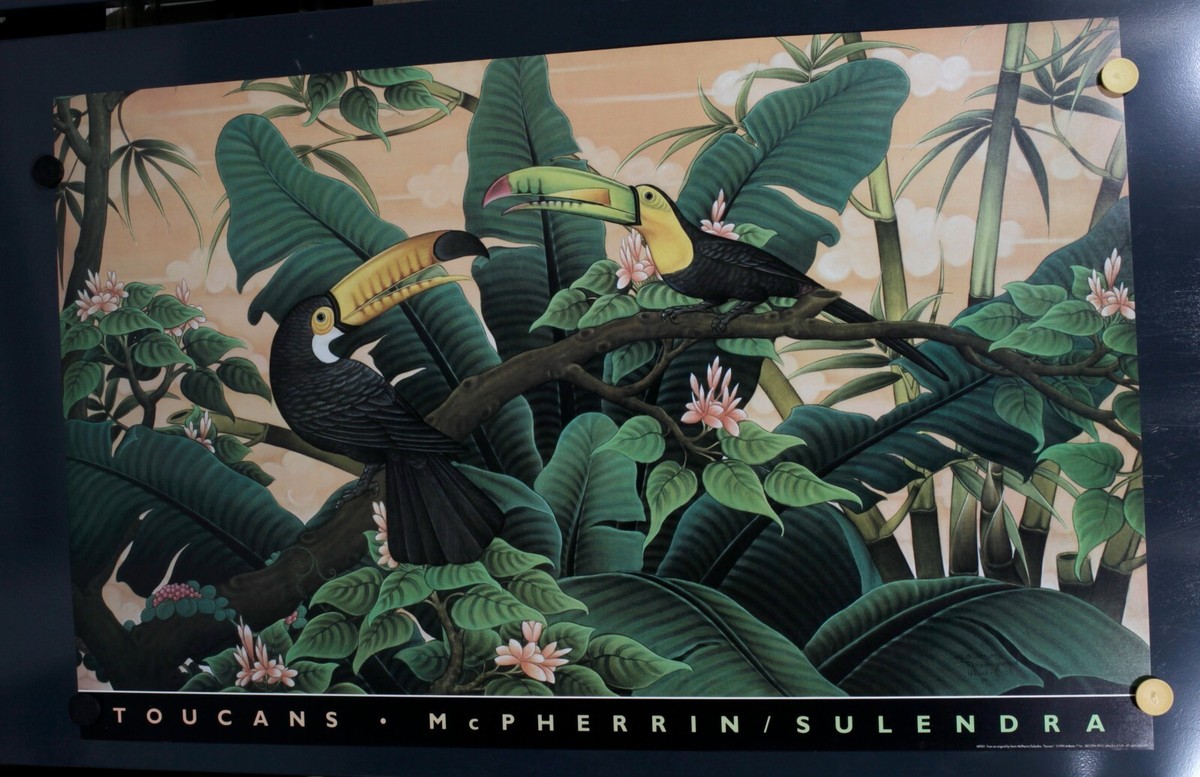 Kevin McPherrin- Toucans - 1990 - Offset Poster - Art beats | eBay