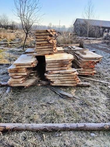  Pappel Maser 1 m³  Bohlen Poplar bur Holz Edelholz                    - Bild 7 von 12