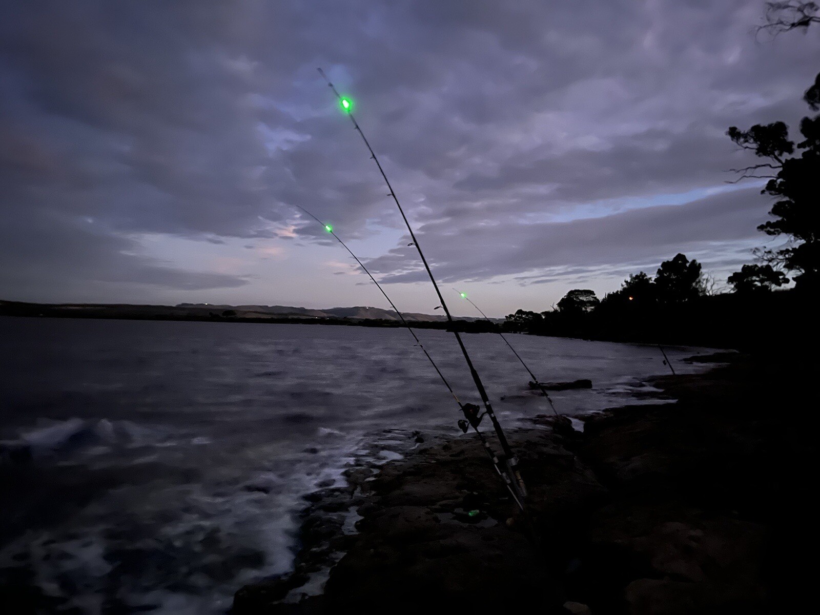 1x Green LED Reusable Night Fishing Rod Tip LED Clip Lights- 🇦🇺 Aus ...