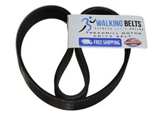 NTL179191 Nordic Track T6.5 SI Treadmill Motor Belt