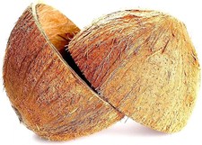cáscaras de coco de sri lanka