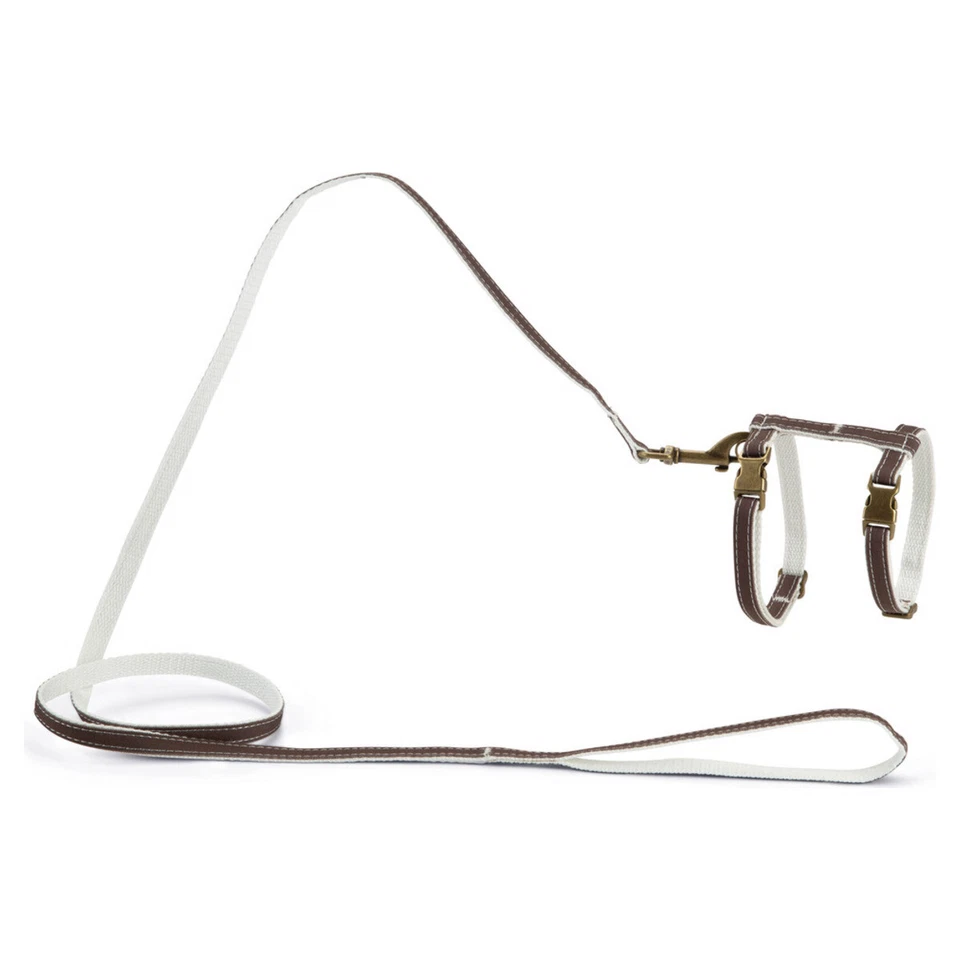 Designed by Lotte Nylon Katzengeschirr Virante für Katzen, Braun 27-45cm x 10mm