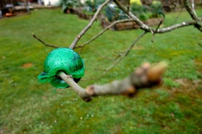 Boule de marcottage, réussite assurée pour toutes vos bouture, ecologique et réu - Photo 1/2
