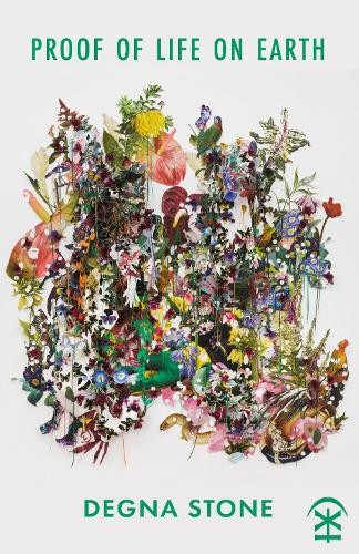 Камень Дегны - доказательство жизни на Земле (в мягкой обложке) (ИМПОРТ из Великобритании)