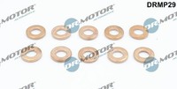 NEU - Dr.Motor Automotive DRMP29 WäRmeschutzscheibe, Einspritzanlage FüR Ford