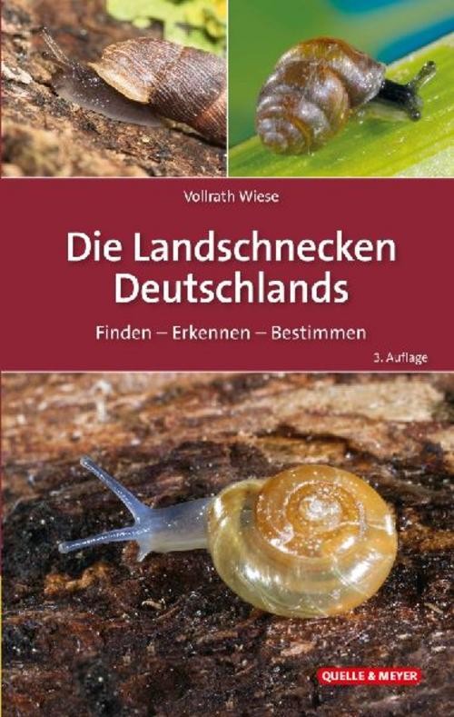 Die Landschnecken Deutschlands Vollrath Wiese