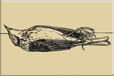 Magnet - VINTAGE 1919 ART REPRO Dead Bird Gothic Julie De Graag Dutch Nouveau 3''