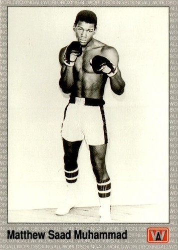 Vintage AW Sports 1991 All World Boxing Premier Edition Single Cards - You Pick - Picture 174 of 225