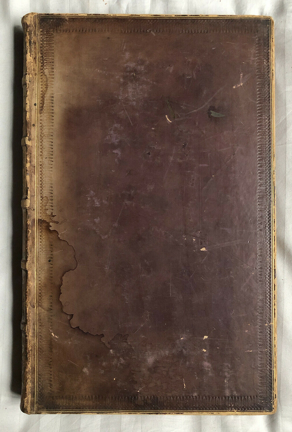 Picture 9 of 12