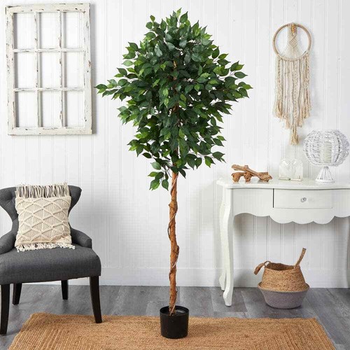 6 Ft. Artificial Ficus Tree - Picture 2 of 12