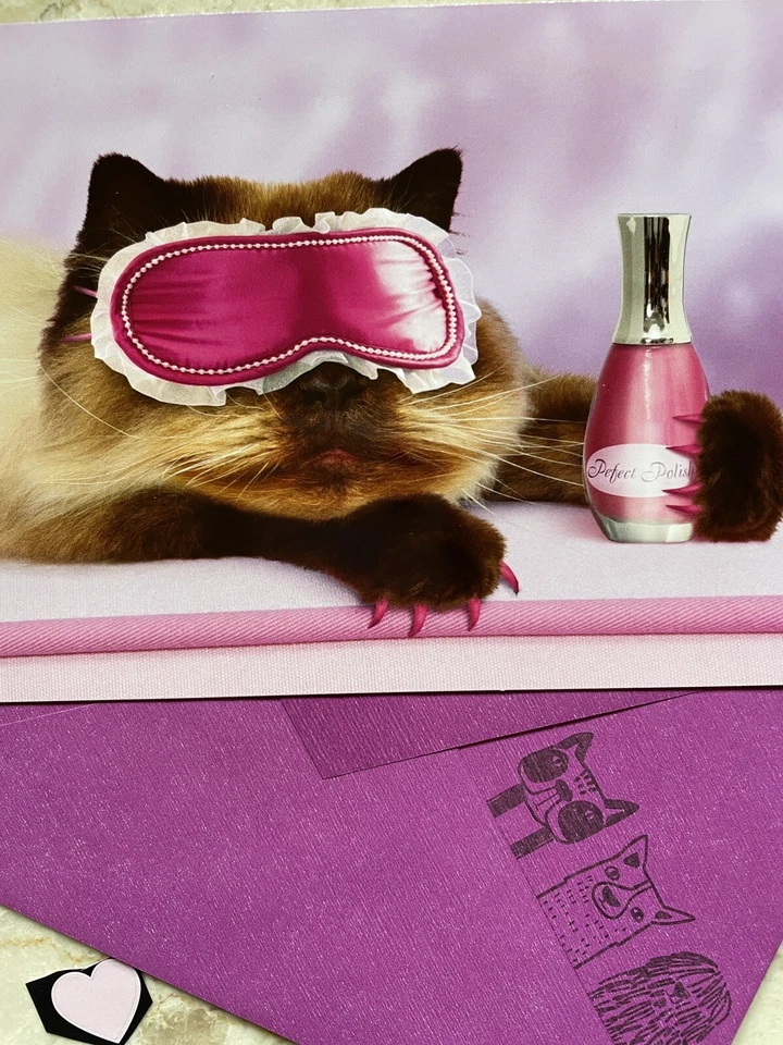Funny Happy Mother’s Day Card w/t Seal & Env. ( Pampered Cat , Manicure, Spa) - Image 2 of 4