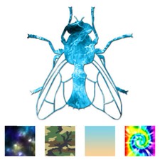 Fly Insect Bug - Vinyl Decal Sticker - Multiple Patterns  Sizes - ebn2882