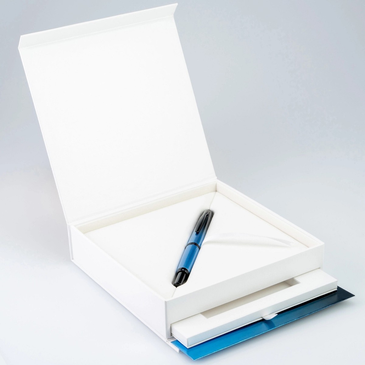 Pilot Vanishing Point 2021 Limited Edition Black Ice Fountain Pen
