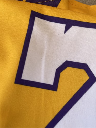 Camiseta deportiva abotonada de Phyle LeBron James #23 del rey de los Angeles LA Lakers - grande - Imagen 7 de 7