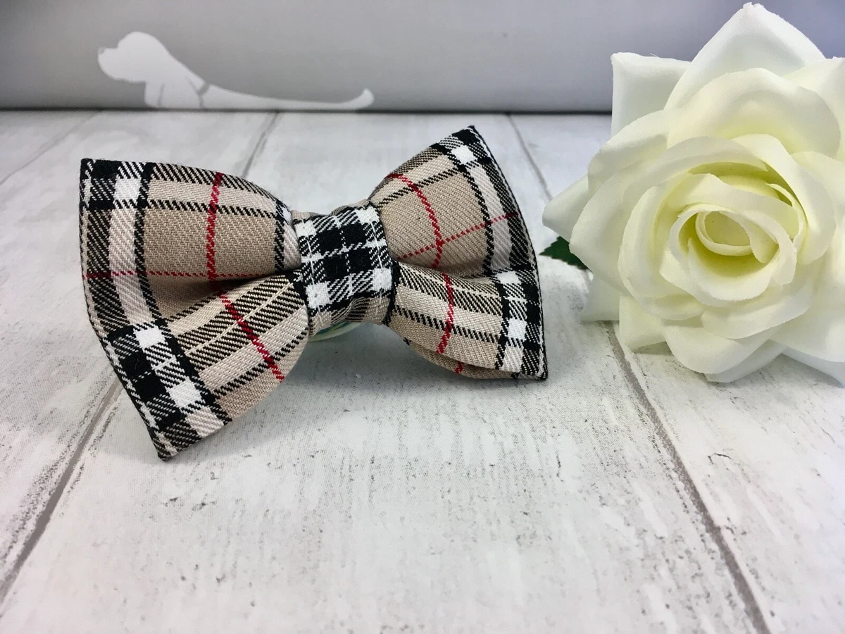 Burberry dog 2024 bow tie