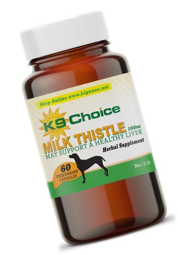 cool fish tanks for bedrooms