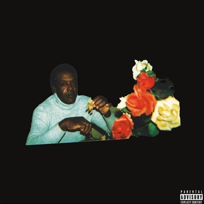 Vince Staples Ramona Park Broke My Heart (CD) Autographed Edition