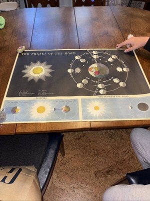 The Phases Of The Moon Poster