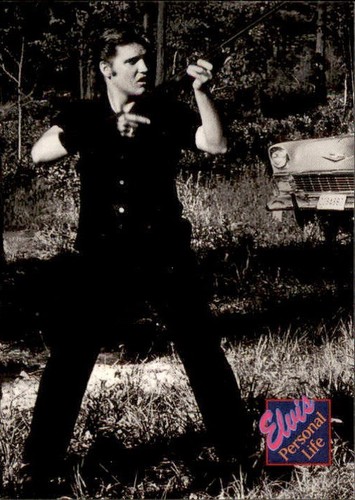 Elvis Collection 92 River Group Trading Card Complete Your Set You Pick 201-400 - Picture 288 of 401