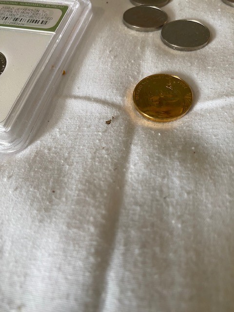 Picture 20 of 22