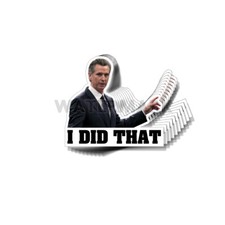 Newsom I Did That Funny Political Stickers Gavin Decals Made In The Usa 10 Pack