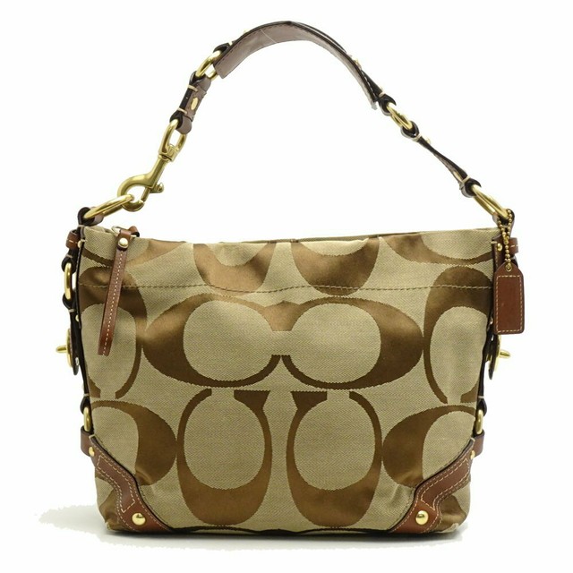 coach carly bag