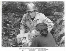 Movie Photo (1971) Sometimes A Great Notion, Paul Newman, H. Fonda, M. Sarrazin 