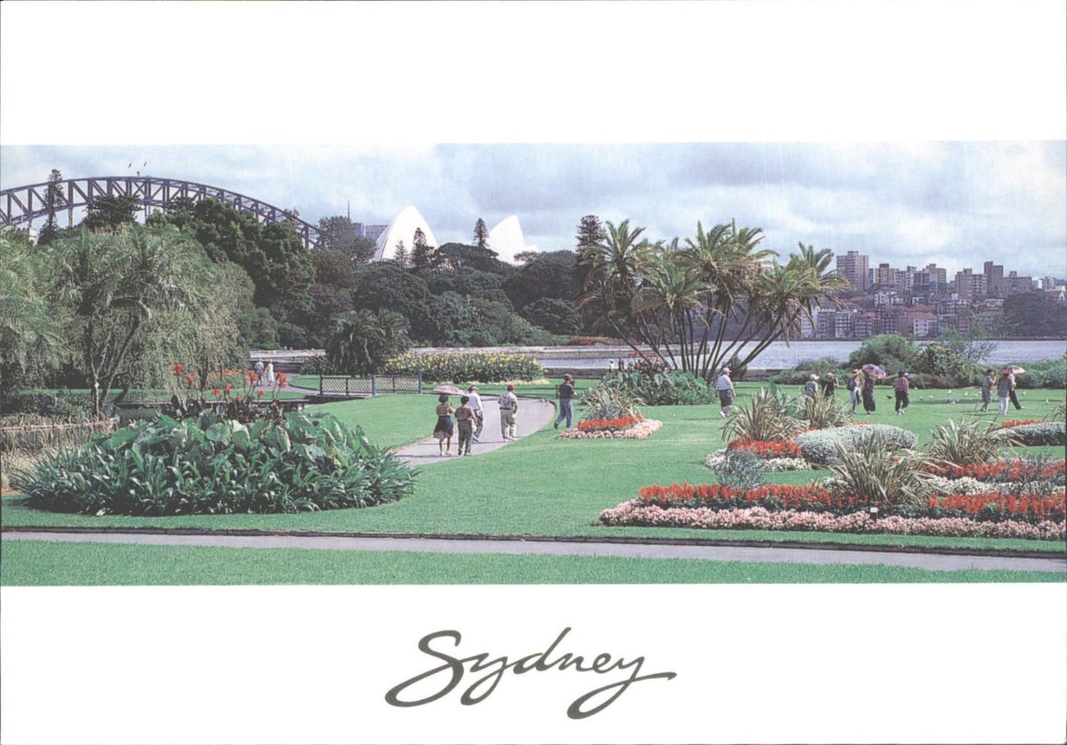 Sydney Royal Botanic Gardens Postcard - Harbour Bridge & Opera House View