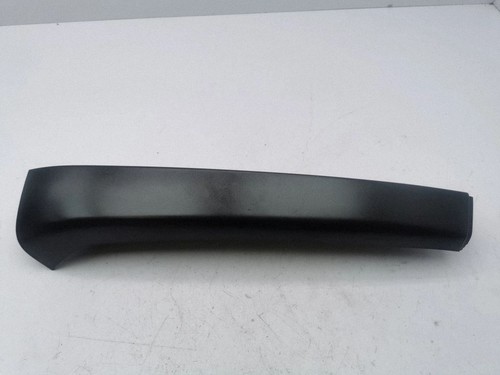 Rear light trim molding
