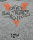Harley Davidson Motorcycles Genuine Motor Clothes Men’s LARGE Gray SS COZUMEL