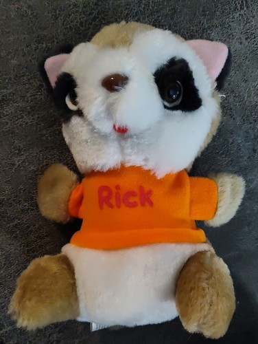 Vintage Hasbro Hallmark Shirt Tales Rick Raccoon Plush Stuffed Animal 7 ...