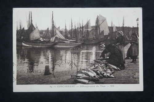 Antique Animated Postcard 1913 CONCARNEAU - Tuna Landing